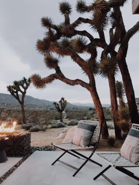 Shelter 1- A Classic- At Joshua Tree Park Entrance Exterior foto